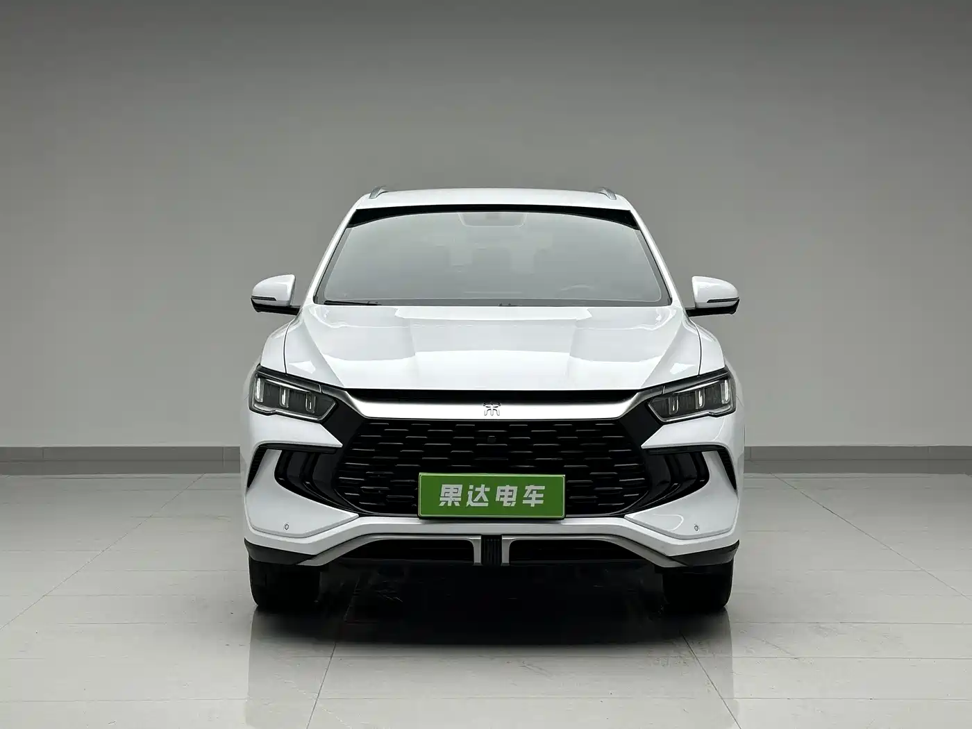 BYD Song Pro New Energy 2024 Glory Edition DM-i 71KM Pilot фото 2