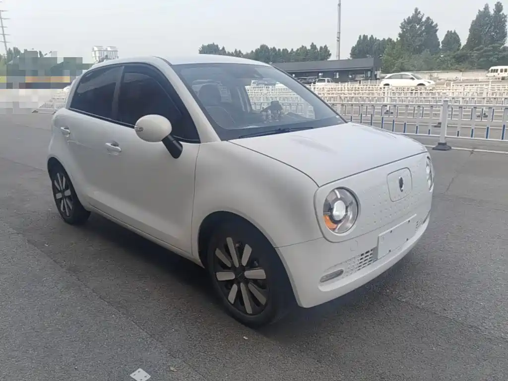 Ora Black Cat 2021 2021 351km Luxury Model