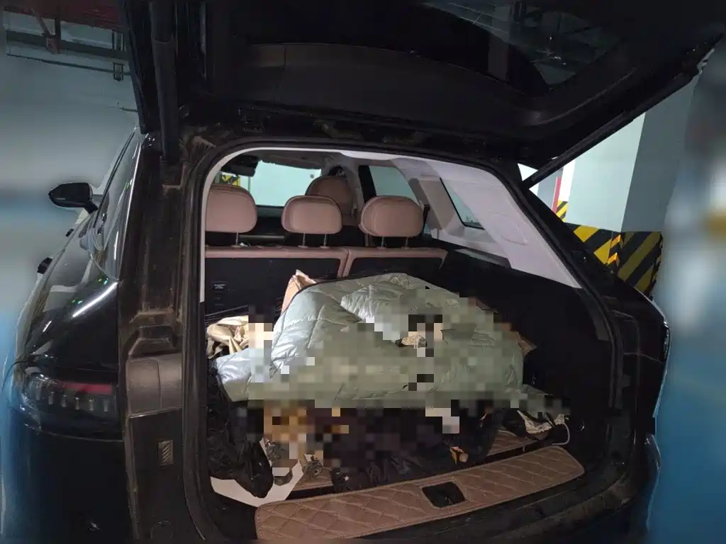 Chery Tiggo 8L 2024 2024 2.0T 2WD Premium 5-seater