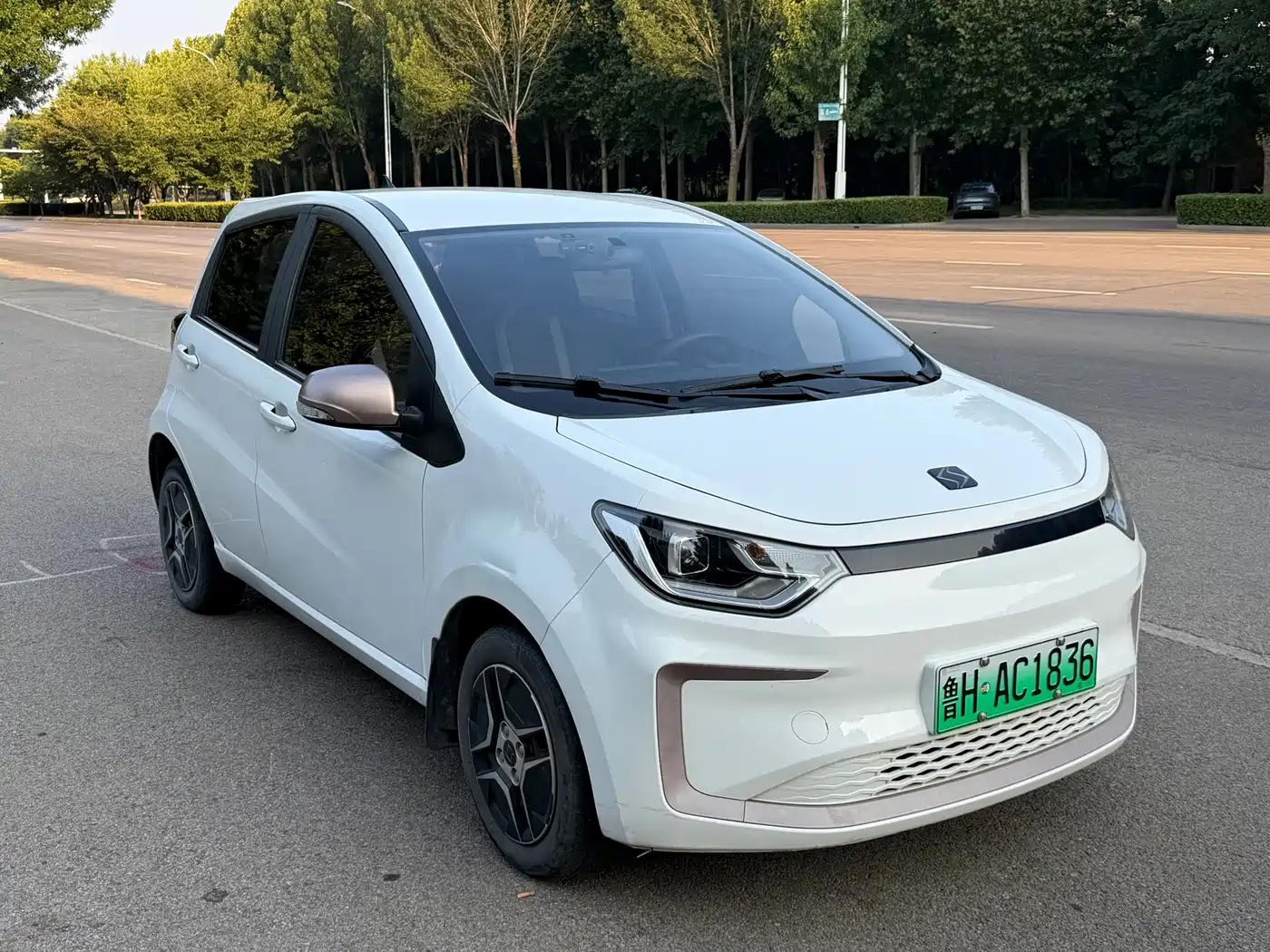 Sehol Flower Fairy 2021 2021 302km Luxury 30.2kWh