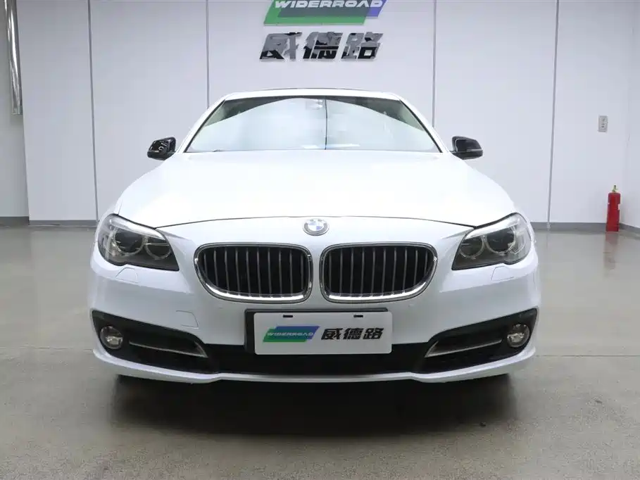 BMW 5 Series 2014 520Li Elegance фото 2
