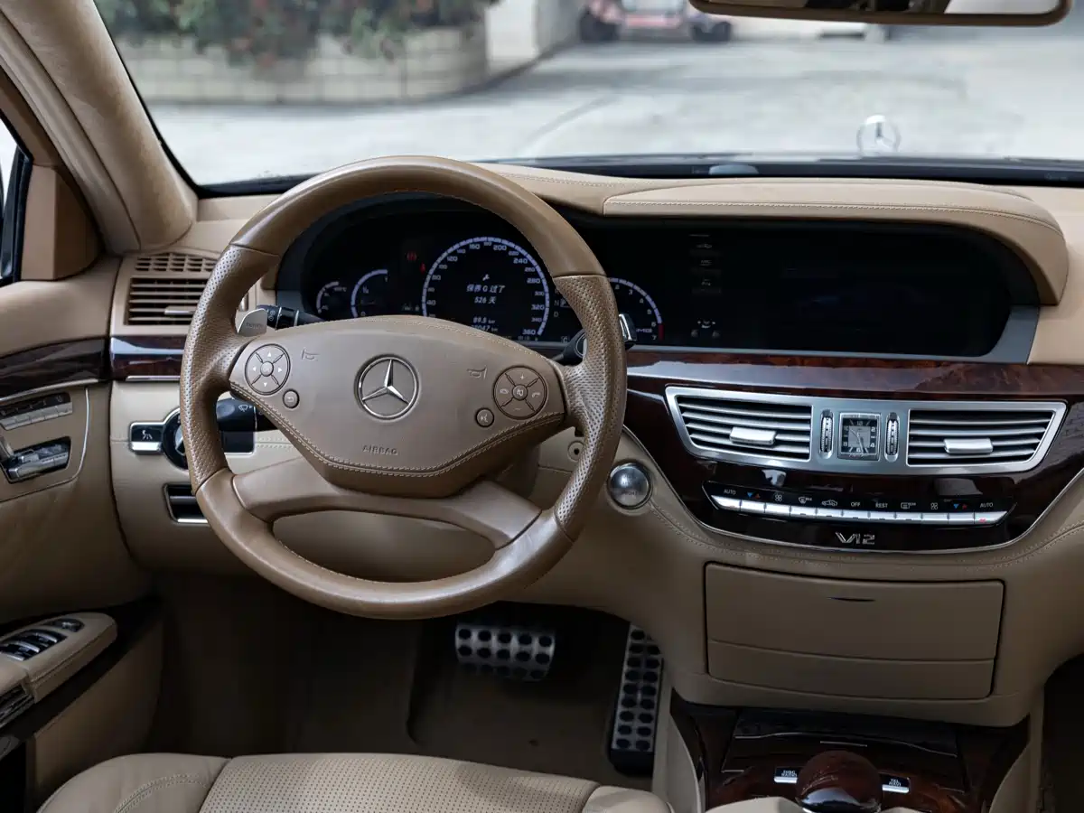 Mercedes-Benz S-Class AMG 2010 AMG S 65 фото 11