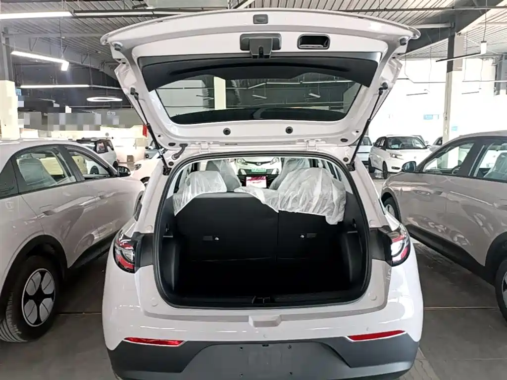Geely Galaxy Starry Wish 2026 Edition Top Configuration фото 19