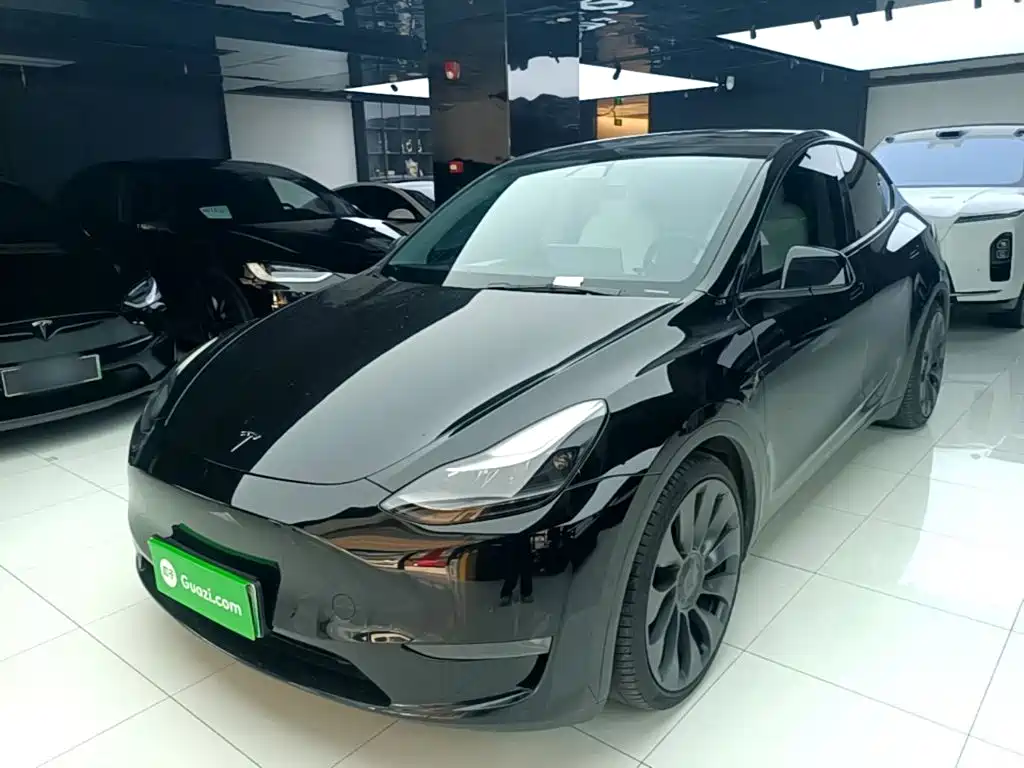Tesla Model Y 2021 2021 Performance High-Performance AWD