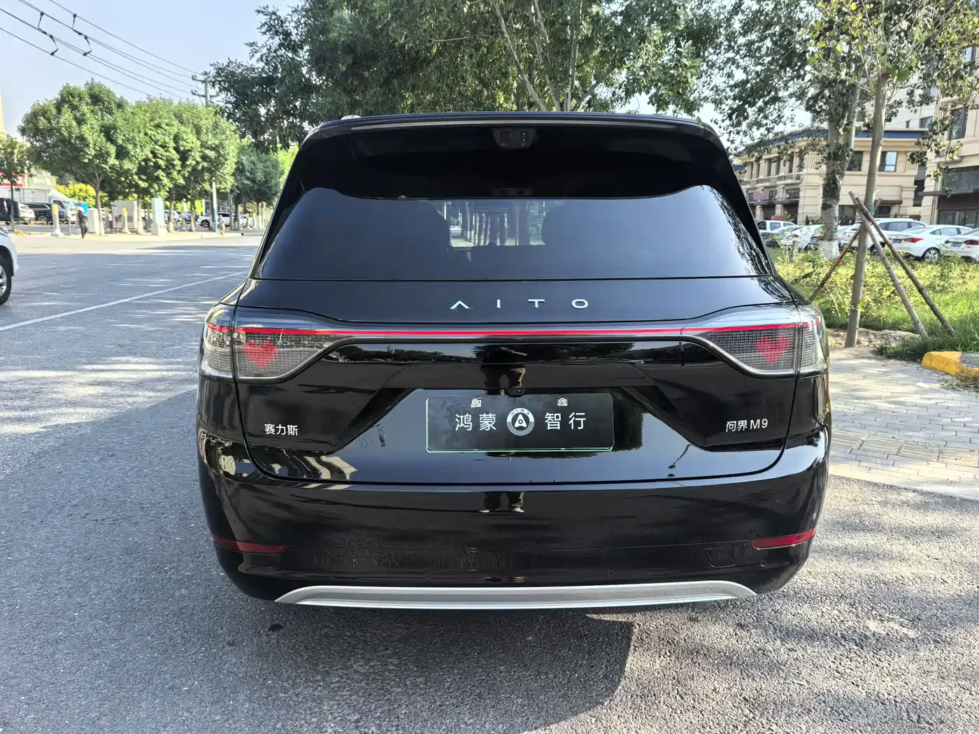AITO Wenjie AITO M9 2025 Extended Range Ultra 52kWh 5-Seater фото 17