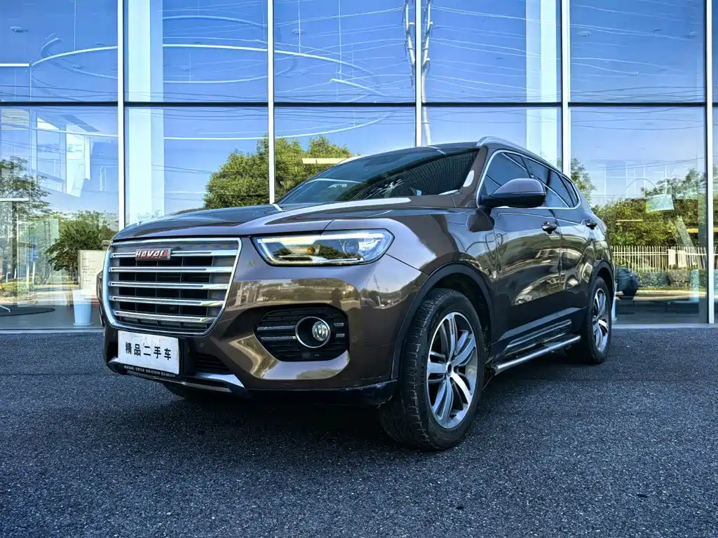 صورة 1 - Haval H6