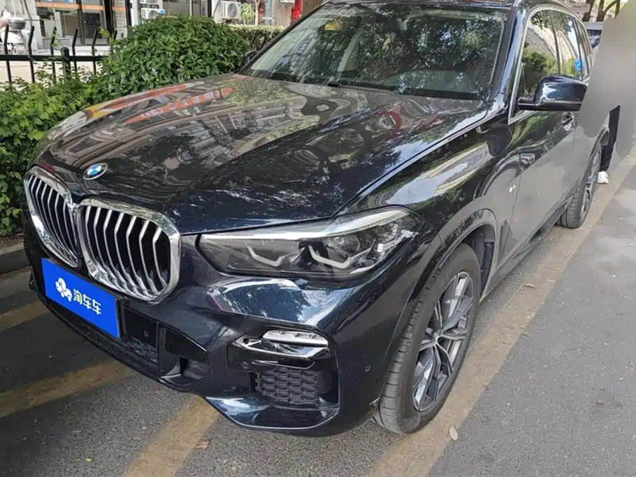 BMW X5 (Import) 2021 Facelift xDrive30i M Sport Package