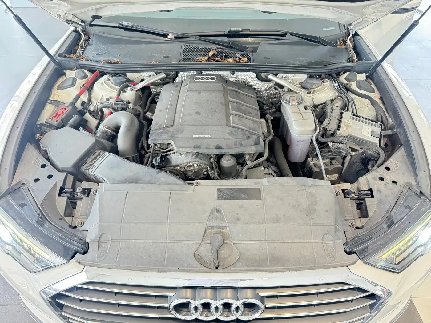 Audi A6L 2019 40 TFSI Luxury Dynamic фото 12