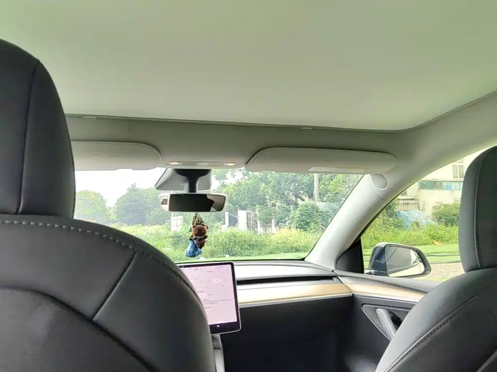 Tesla Model Y 2021 2021 Standard Range Rear-Wheel Drive