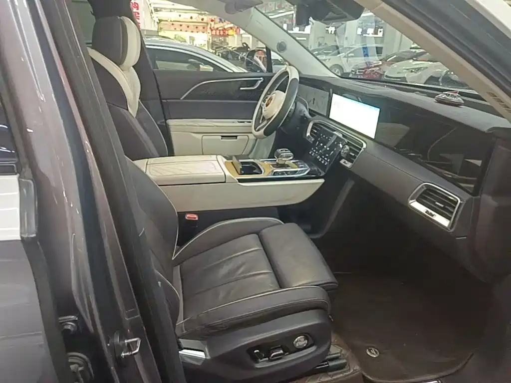 Фото 25 - Hongqi E-HS9