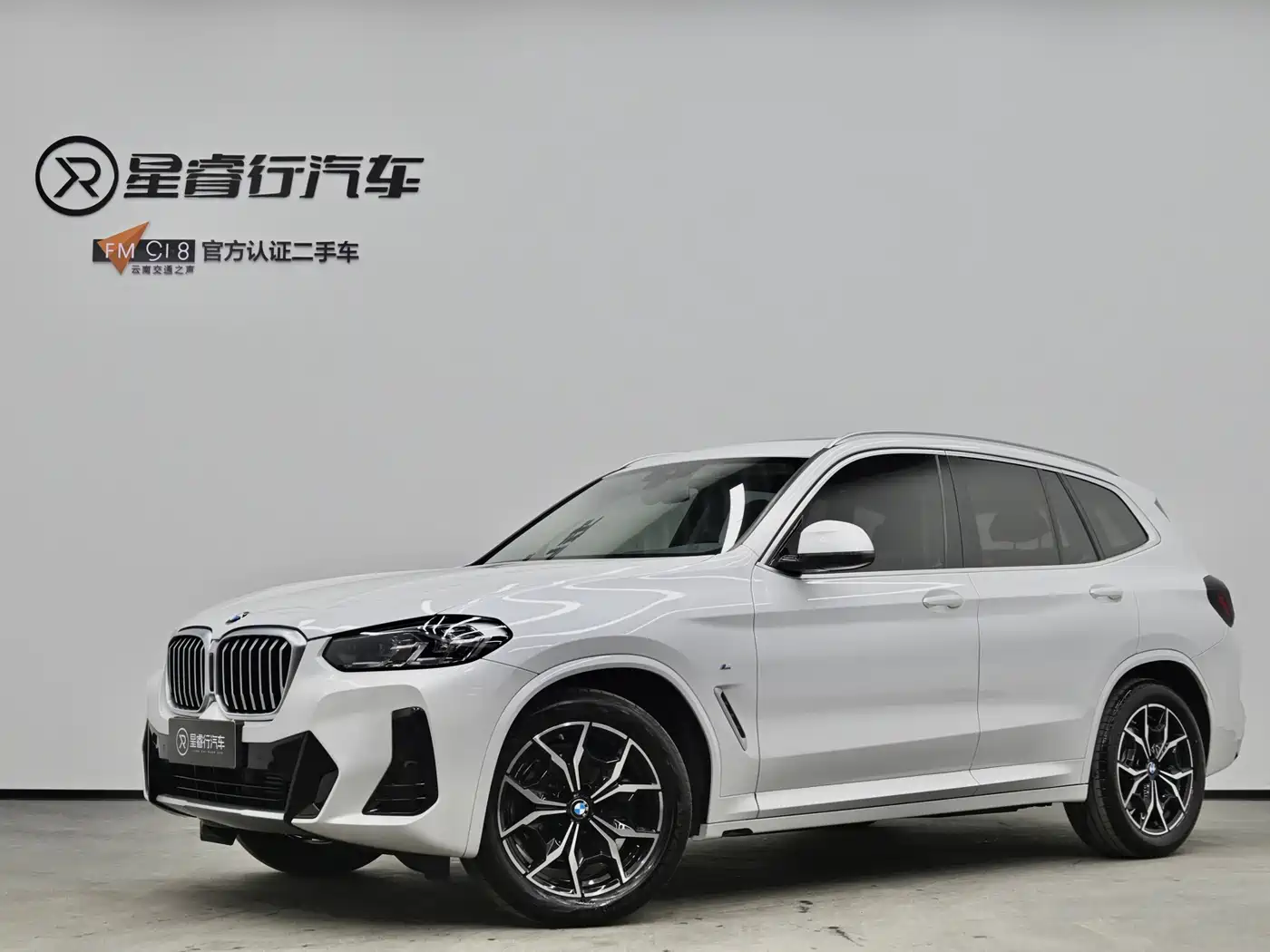 BMW X3 2023 xDrive25i M Sport Package