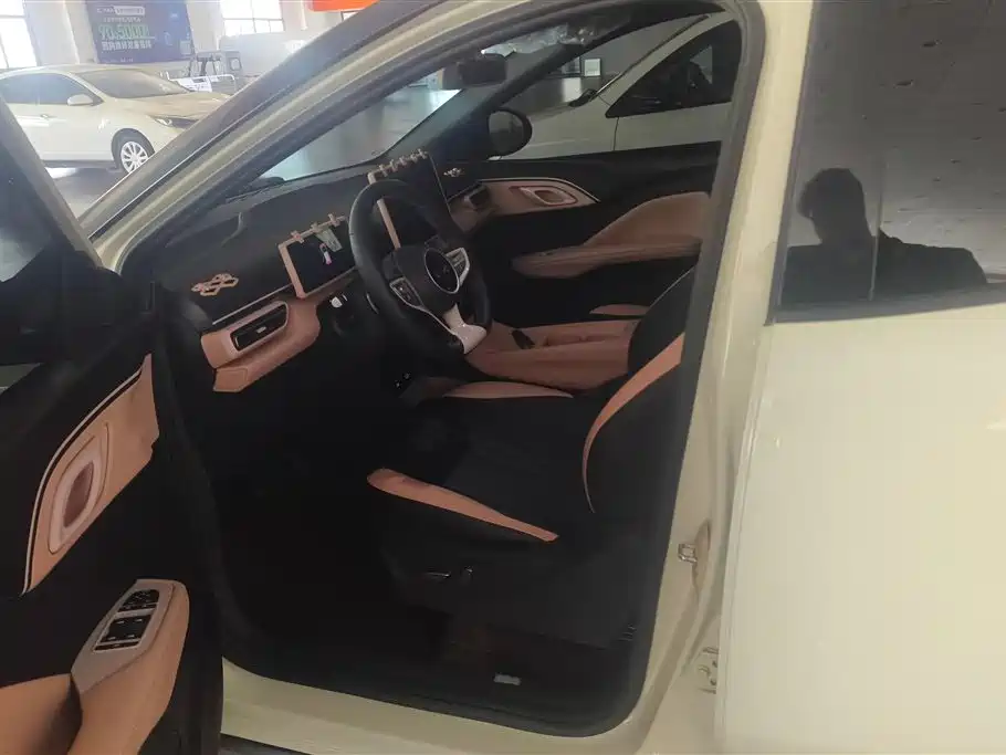 BYD Seagull 2025 Smart Drive Edition 305km Freedom Version фото 9