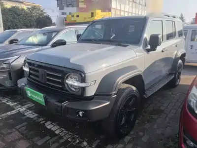 Tank 300