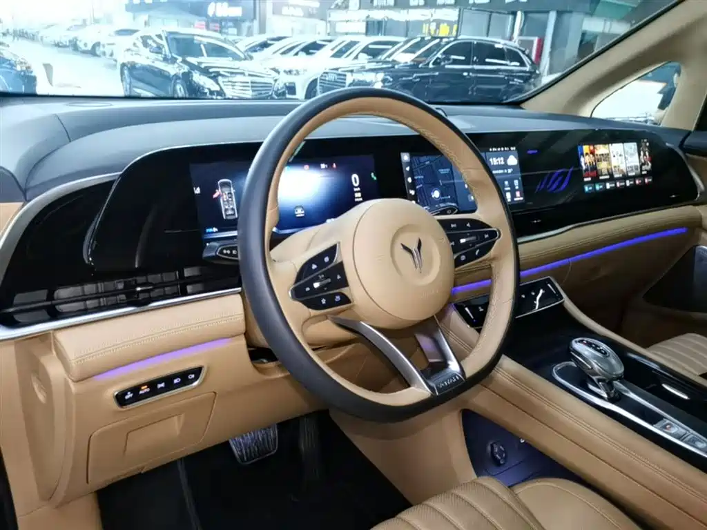 Voyah Auto Voyah Dreamer 2024 PHEV Extended Range Flagship Edition фото 10