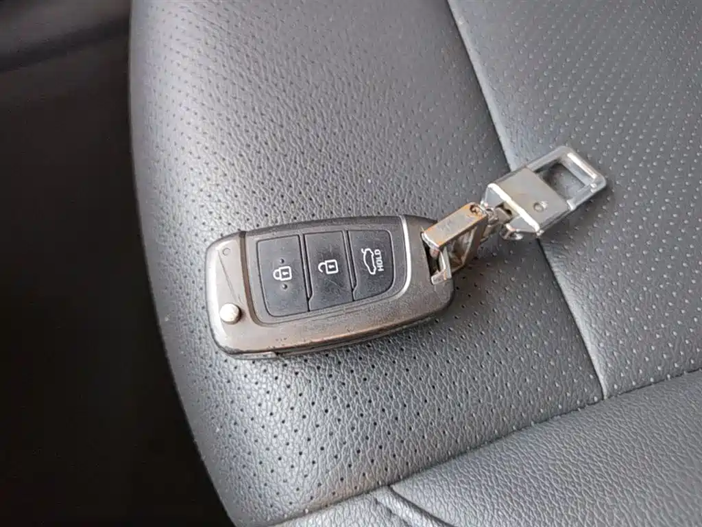Hyundai Elantra 2018 1.6L Automatic Pleasing Edition GL China VI фото 9