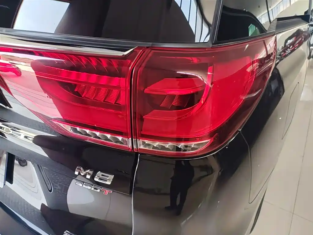 GAC Trumpchi Trumpchi M8 2021 Master Series 390T Ultimate Edition фото 8