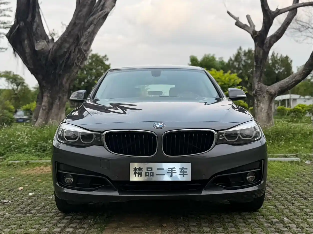 BMW 3 Series GT 2019 320i Fashion Model фото 2