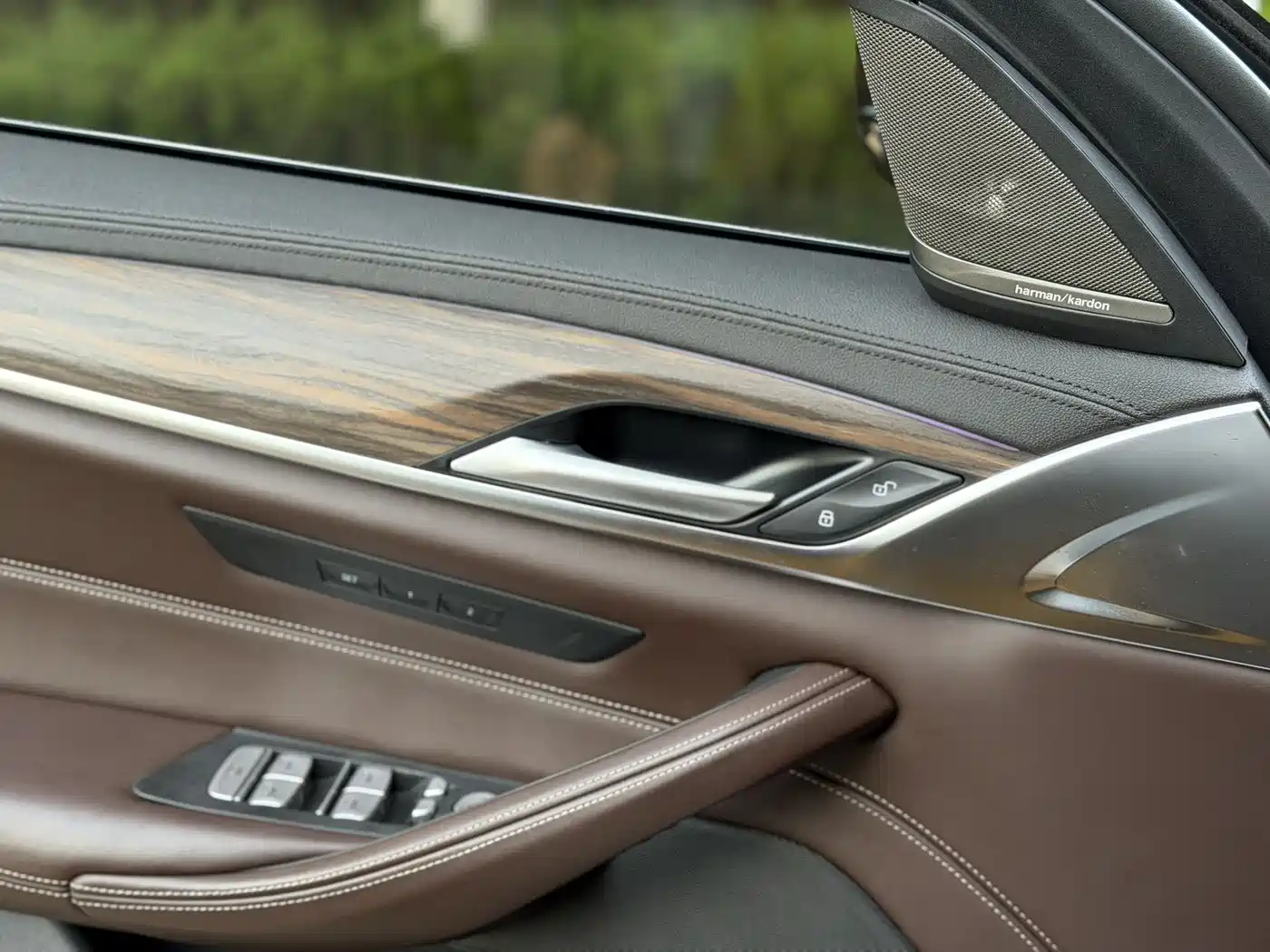 BMW 5 Series 2019 530Li xDrive Luxury Package фото 14