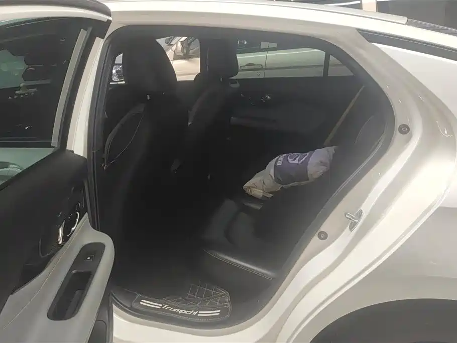 GAC Trumpchi Trumpchi Emkoo 2021 270T DCT J16 Edition фото 11