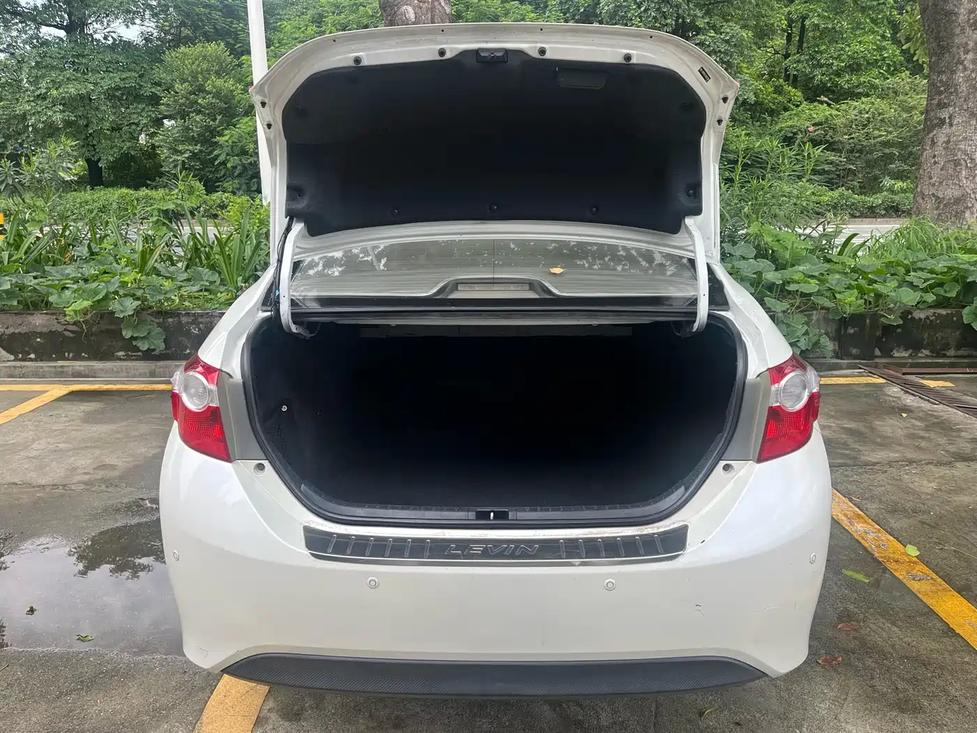 Фото 7 - Toyota Levin