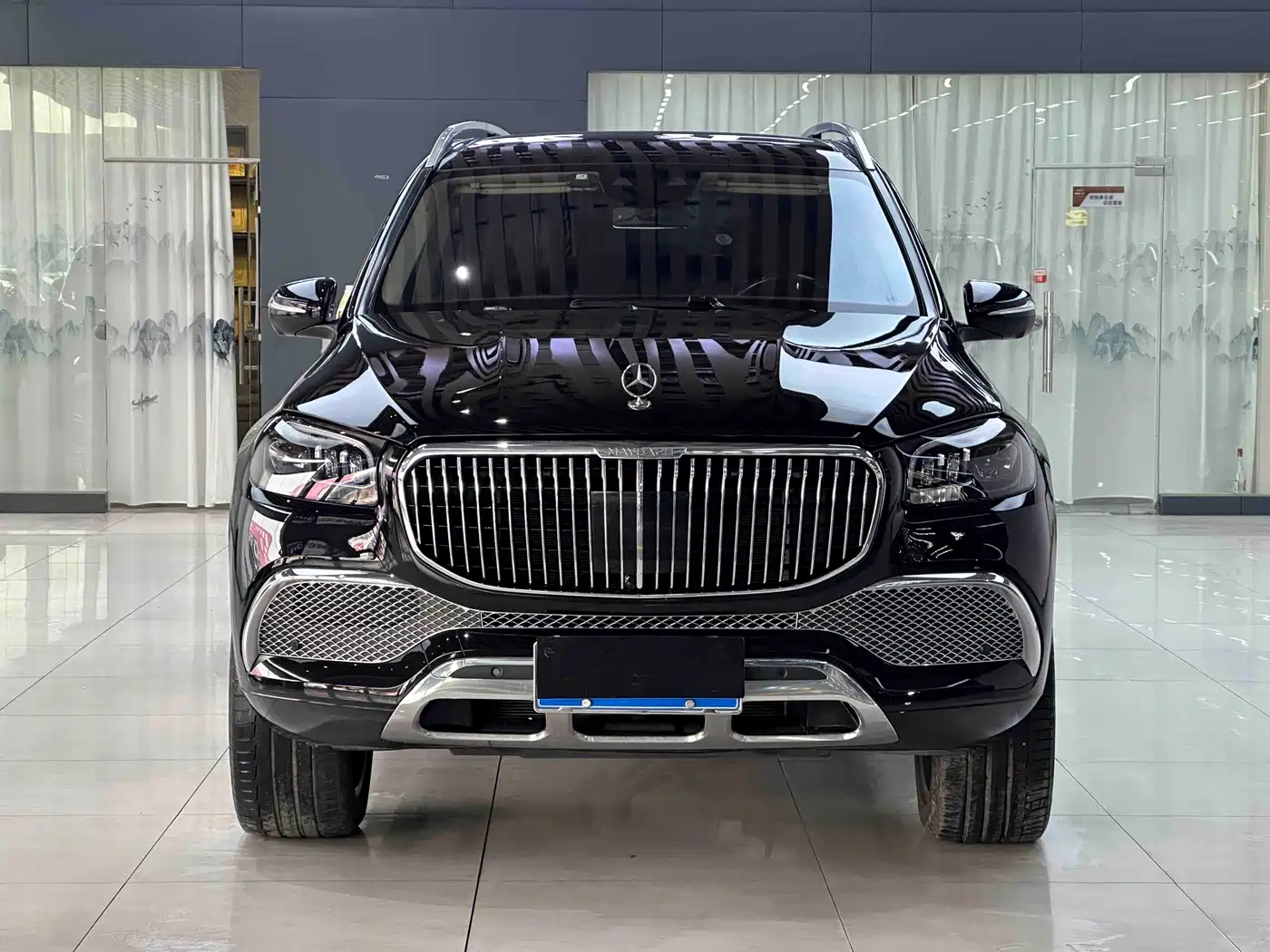 Mercedes-Benz Maybach GLS 2022 GLS 480 4MATIC фото 2
