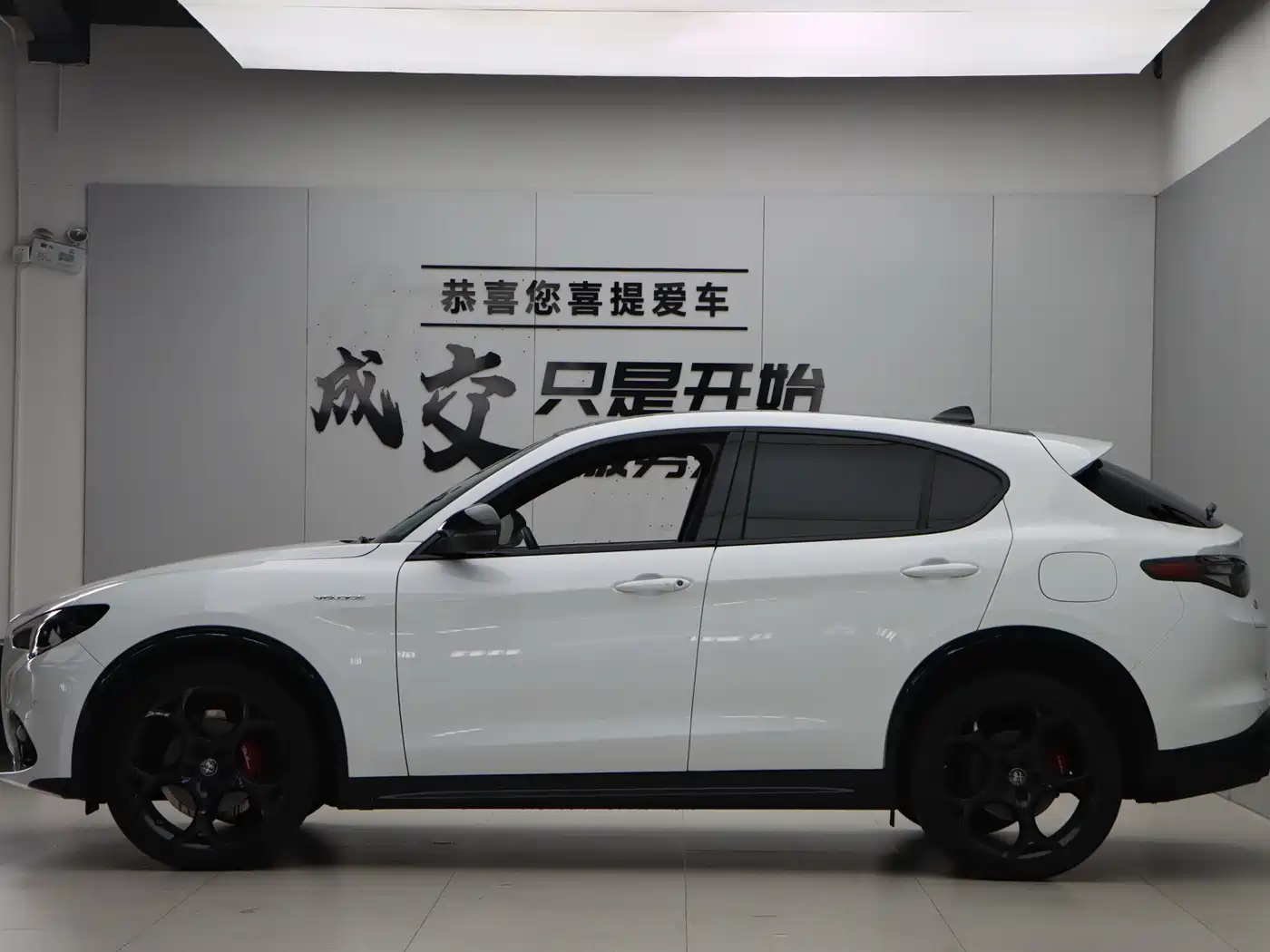 Alfa Romeo Stelvio 2024 2023 2.0T 280HP Veloce Track Edition