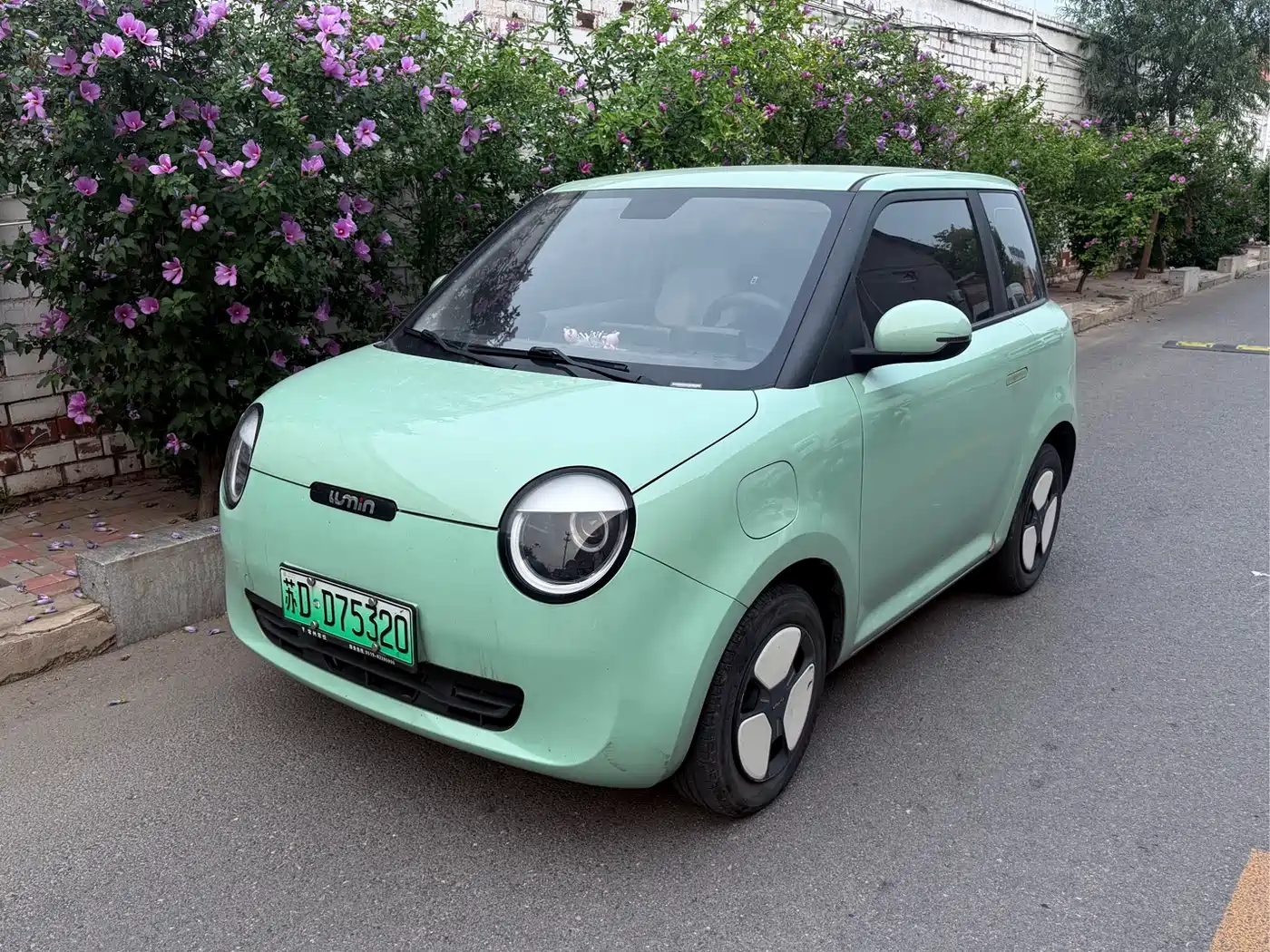 Changan Qiyuan Changan Lumin 2022 2022 155km Fresh Edition
