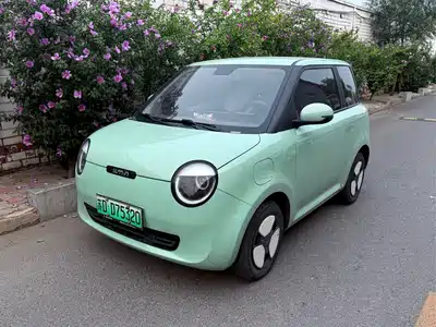 Changan Lumin
