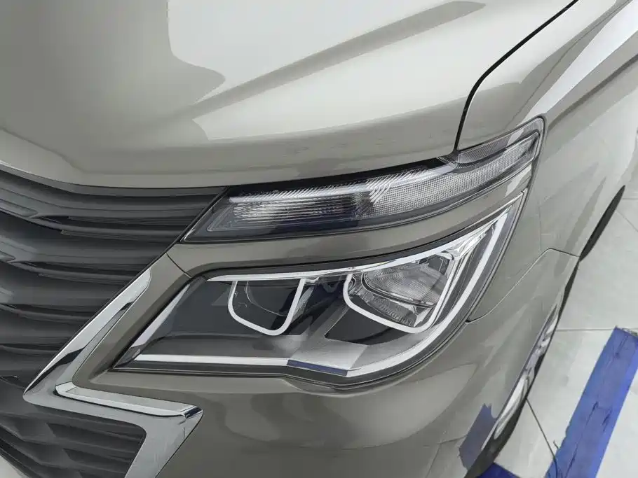 2025 Dongfeng Fengxing Lingzhi
