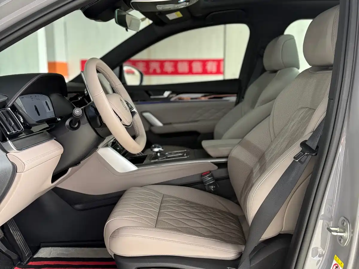 BYD Tang New Energy 2025 DM-i 115KM Premium фото 12