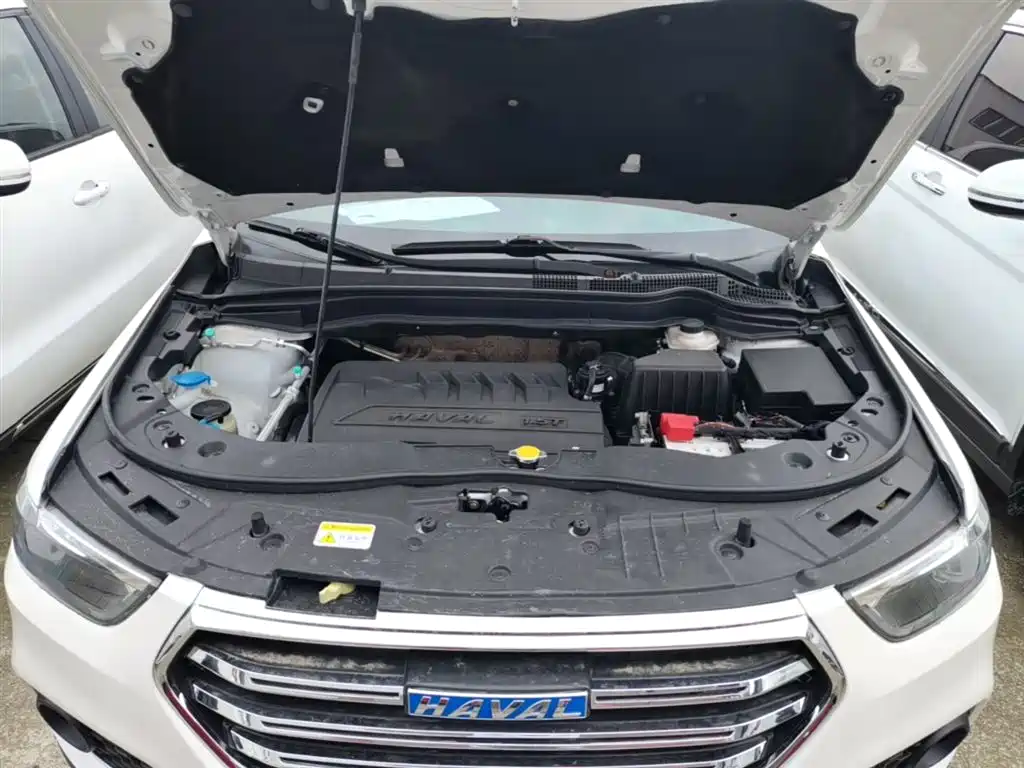 Haval H6 2018 Blue Label Sport 1.5T Manual 2WD Elite фото 20