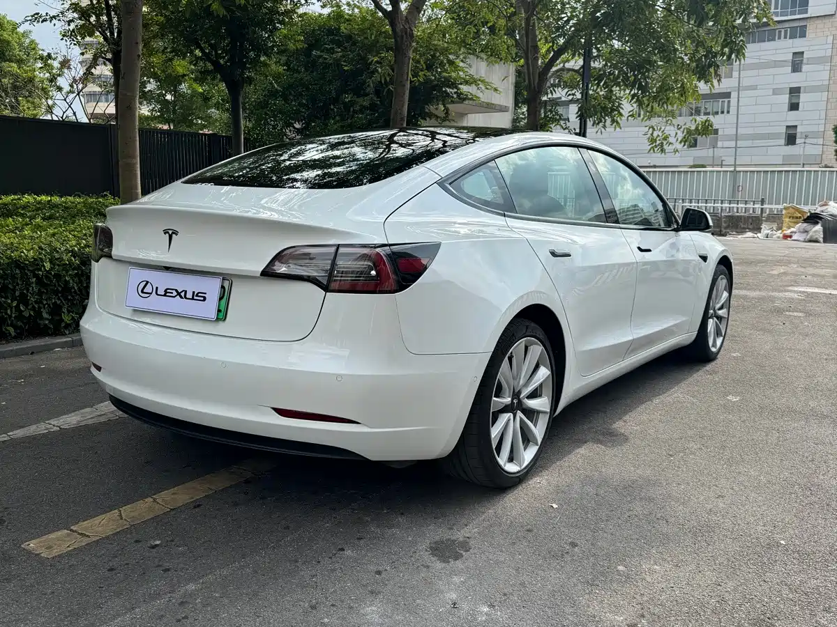 Tesla Model 3 (Import) 2020 2019 Standard Range RWD Upgraded Edition