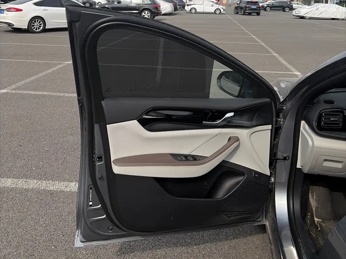BYD Qin PLUS 2024 Glory Edition DM-i 55KM Surpass фото 8