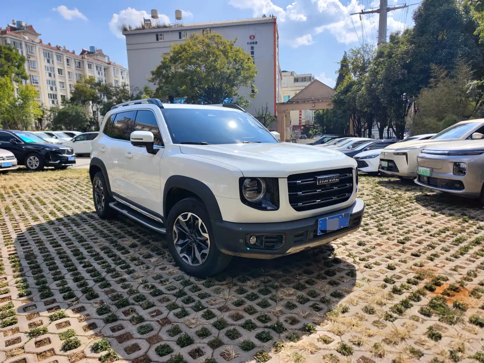 Фото 3 - Haval Dargo