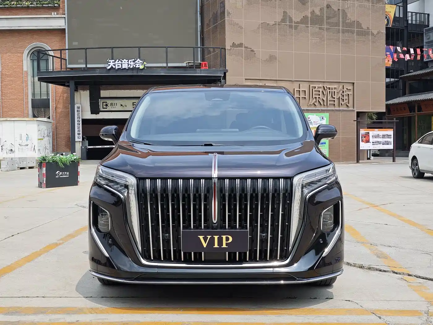 Hongqi HQ9 2023 2.0T Smart Connect Flag Enjoy Edition фото 2