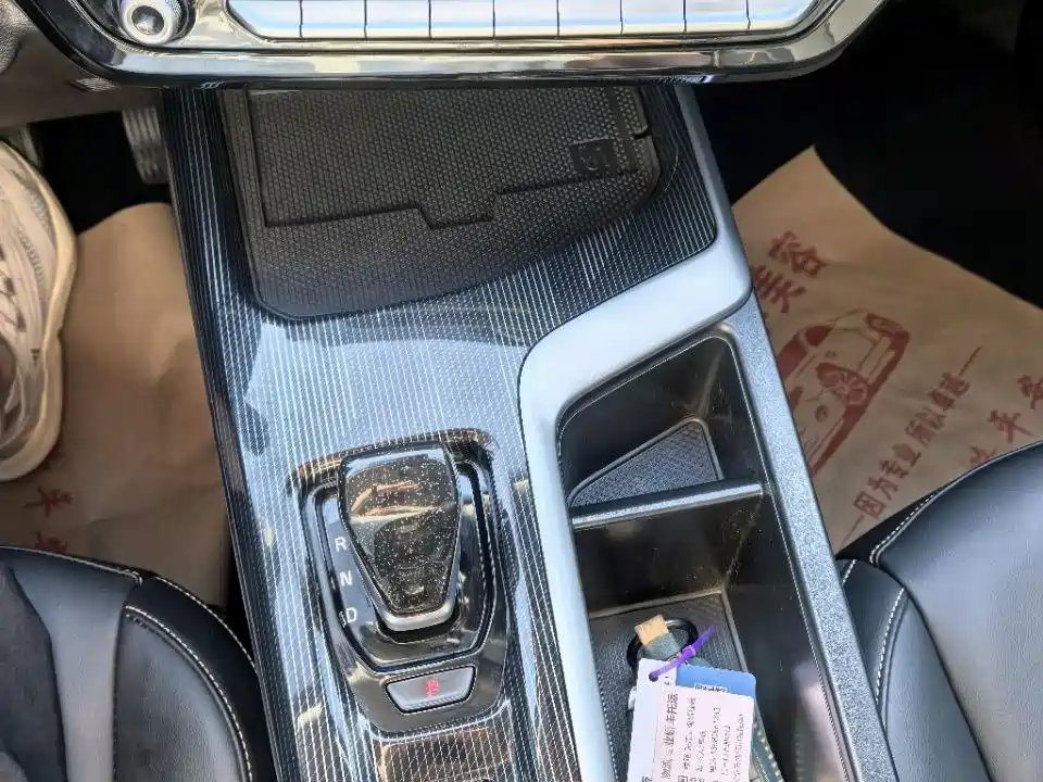 Haval Chitu 2022 2022 Power Edition 1.5T Purple Copper Rabbit