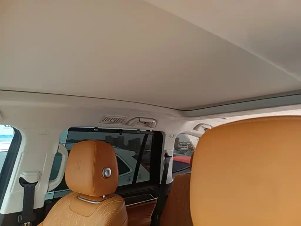 Tank 500 2022 2022 3.0T Business Edition Zaojing 7-Seater