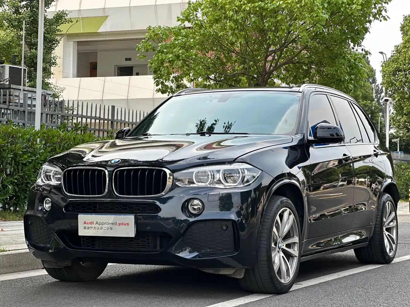 BMW X5 (Import) 2017 xDrive35i M Luxury Sport фото 3