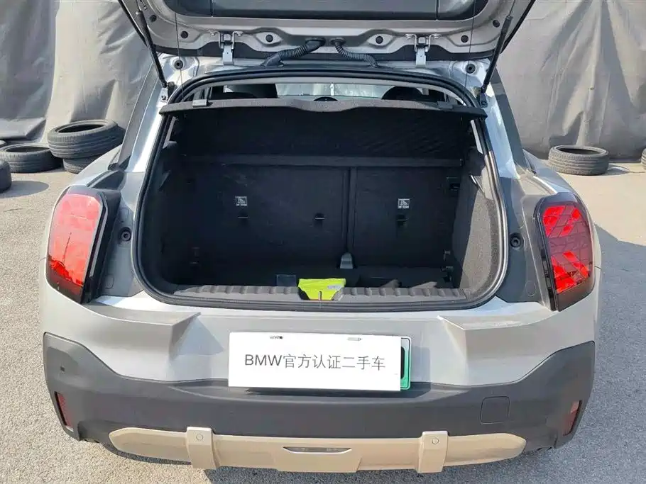 MINI Electric MINI ACEMAN 2025 2025 SE Artist