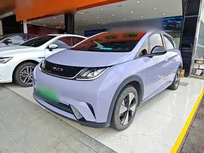 BYD Dolphin
