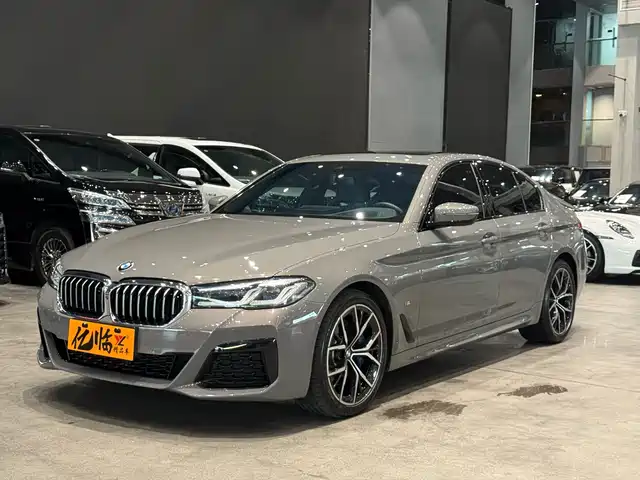 BMW 5 Series (Import) 2021