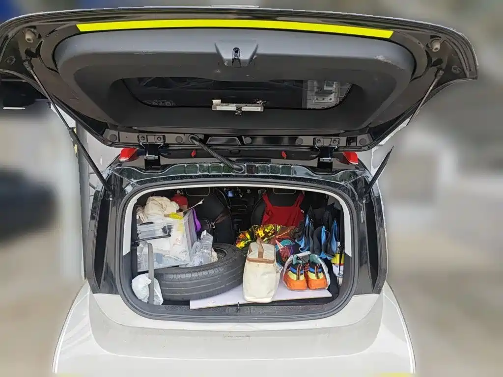 Фото 10 - Baojun KiWi EV