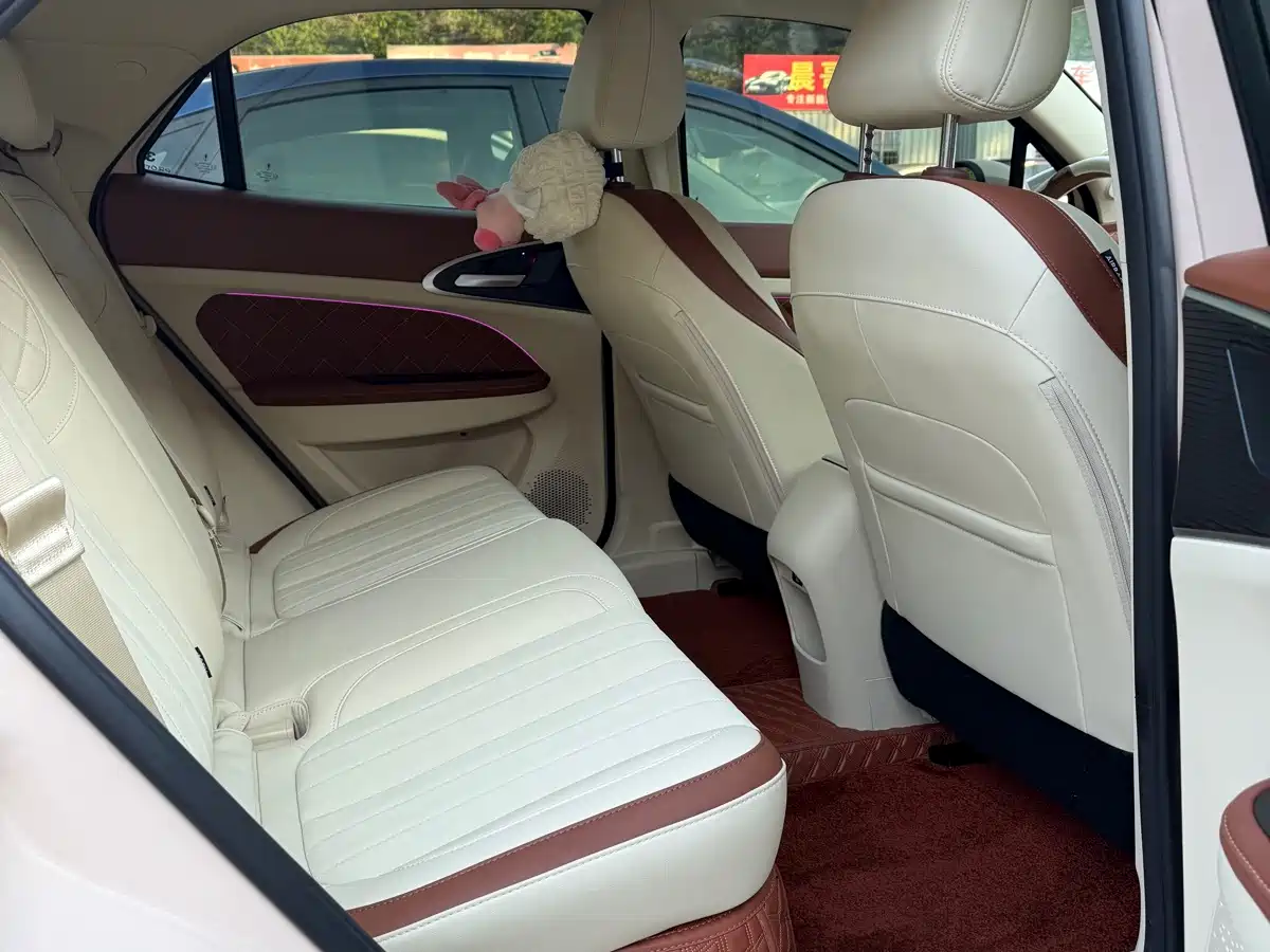 Ora Good Cat 2023 2023 401km Standard Range Luxury LFP