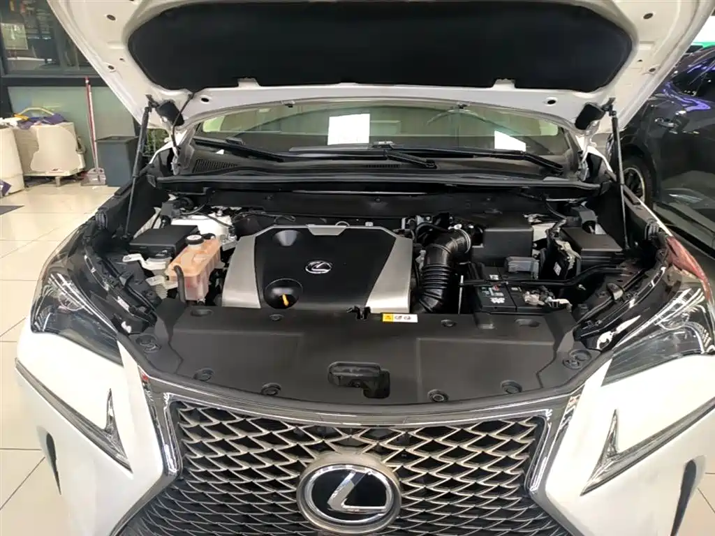 Lexus NX 2015 200 FWD Premium фото 20