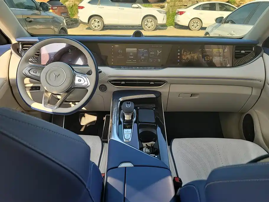 Voyah Auto VOYAH FREE 2021 4WD Extended Range Launch Edition Exclusive Luxury Package фото 12