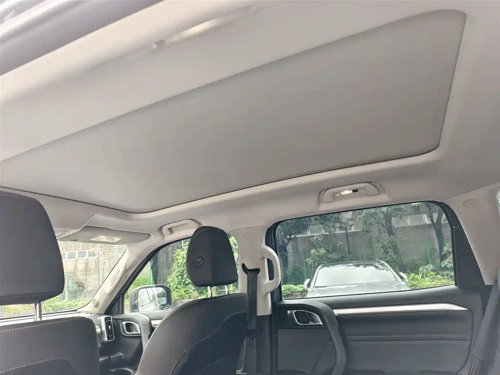 Haval Big Dog 2022 2.0T DCT 4WD Chinese Rural Dog Hunting Edition фото 8
