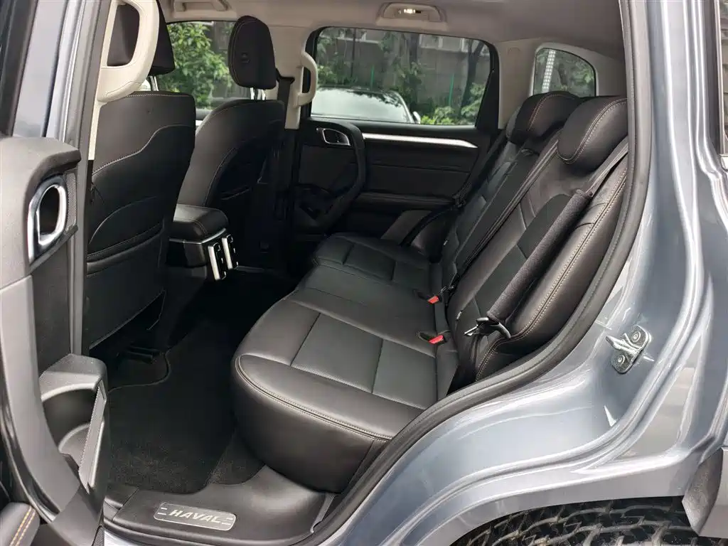 Haval Big Dog 2022 2.0T DCT 4WD Chinese Rural Dog Hunting Edition фото 14
