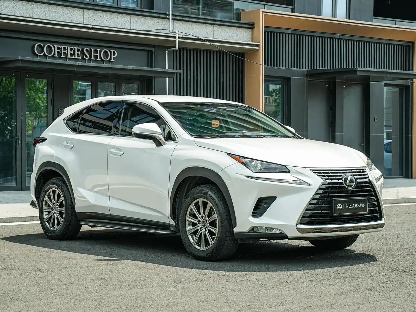 Lexus NX 2018 Model 300 FWD Fengxing Edition фото 3