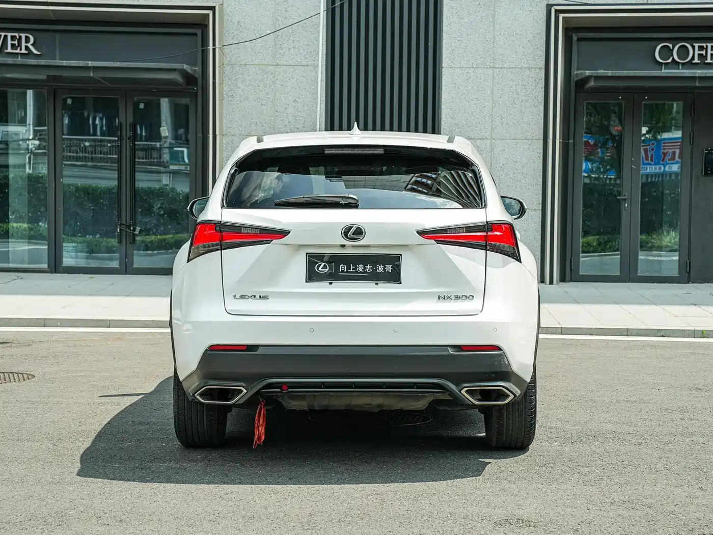 Lexus NX 2018 Model 300 FWD Fengxing Edition фото 5