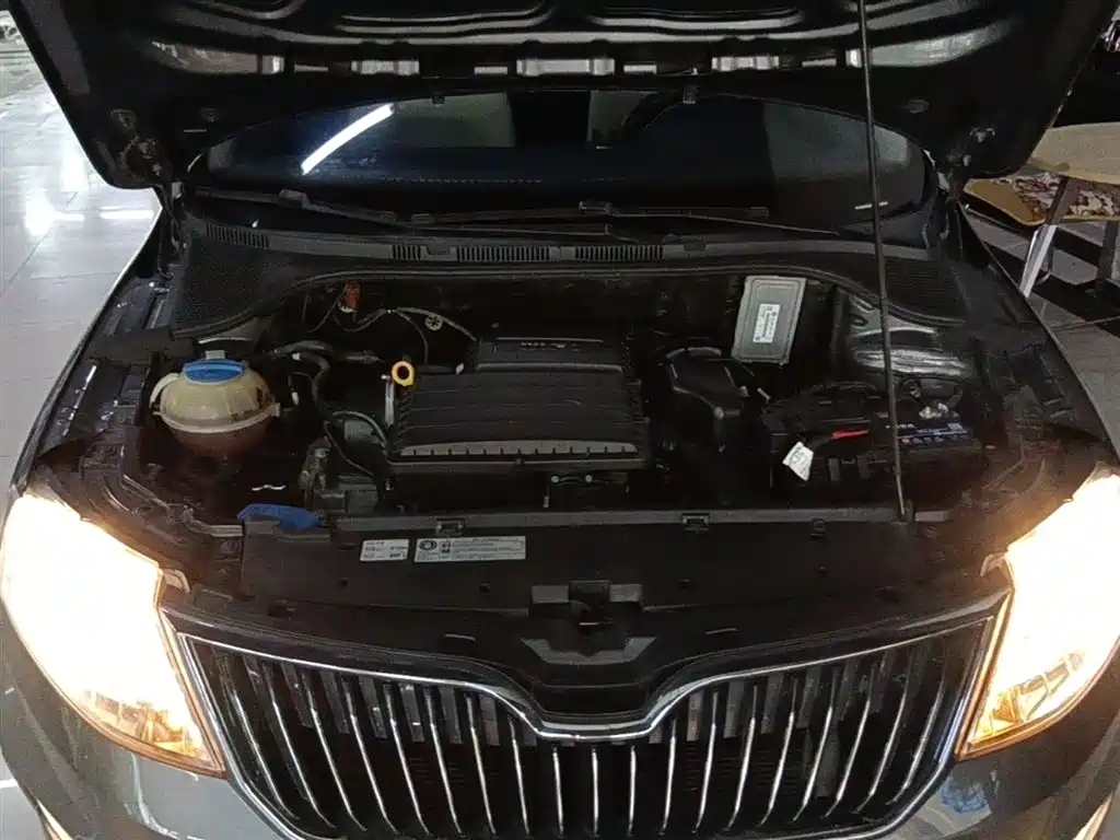Škoda Rapid 2018 1.6L Automatic Comfort Edition фото 20